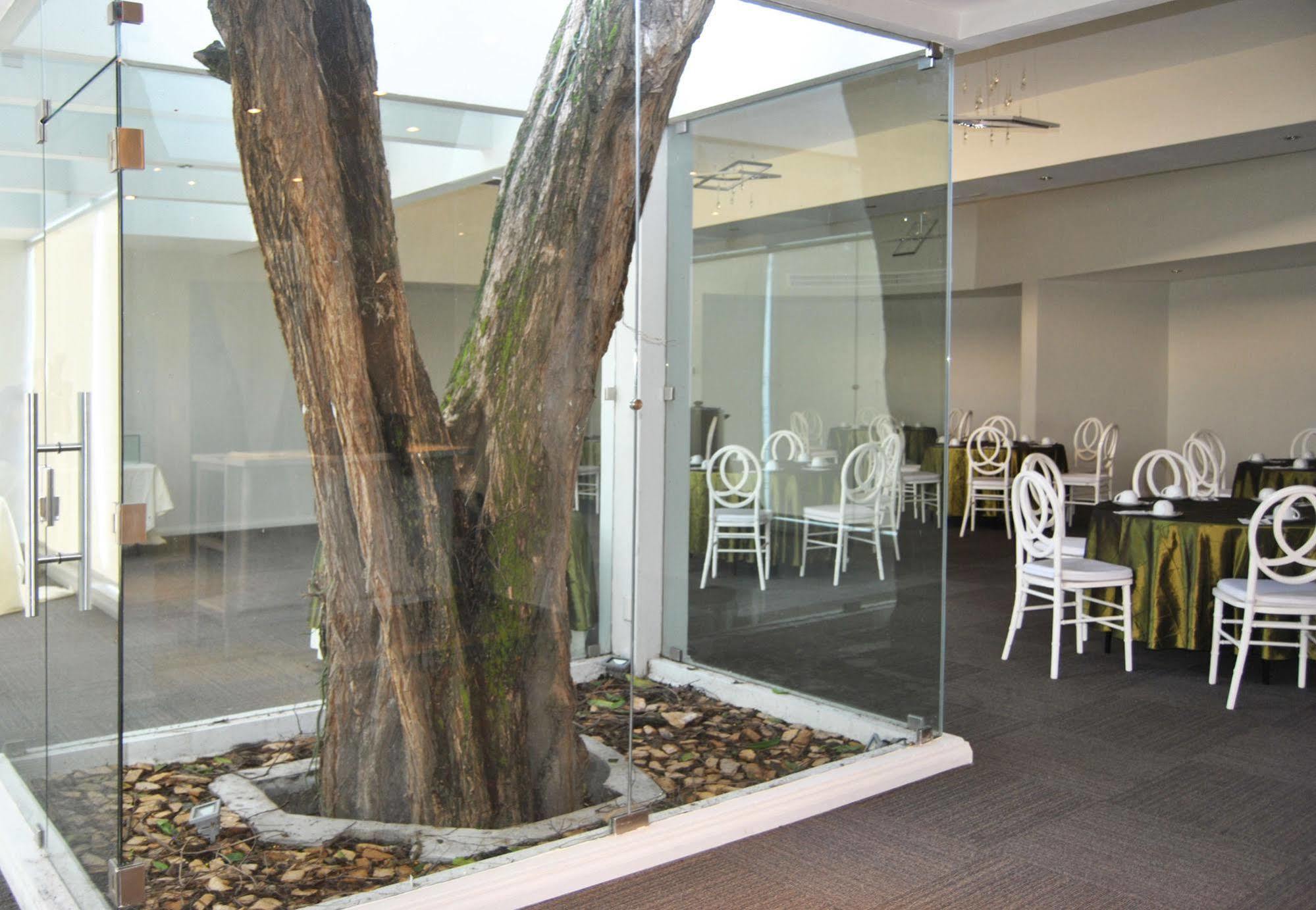 Hotel Los Andes San Pedro Sula Dış mekan fotoğraf